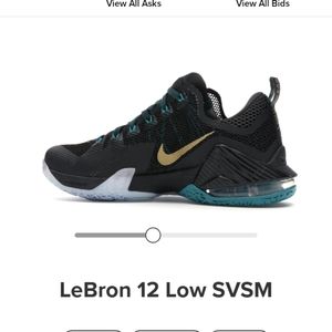 Nike Lebron 12 Low SVSM 724557-070